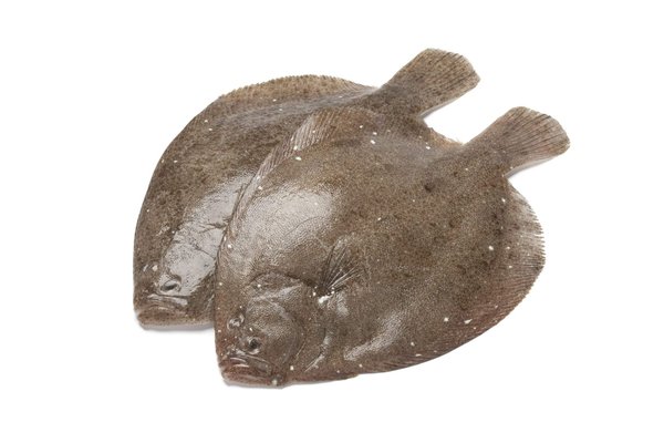 Comment briller en tant que spécialiste en réhabilitation fonctionnelle pour les centres de rééducation ?